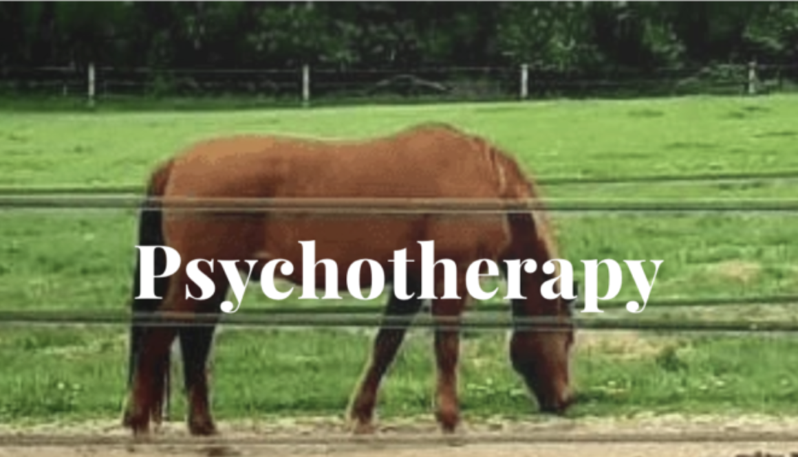 HOPE Ranch’s Equine-Assisted Therapy: Healing Through the Power of Horses